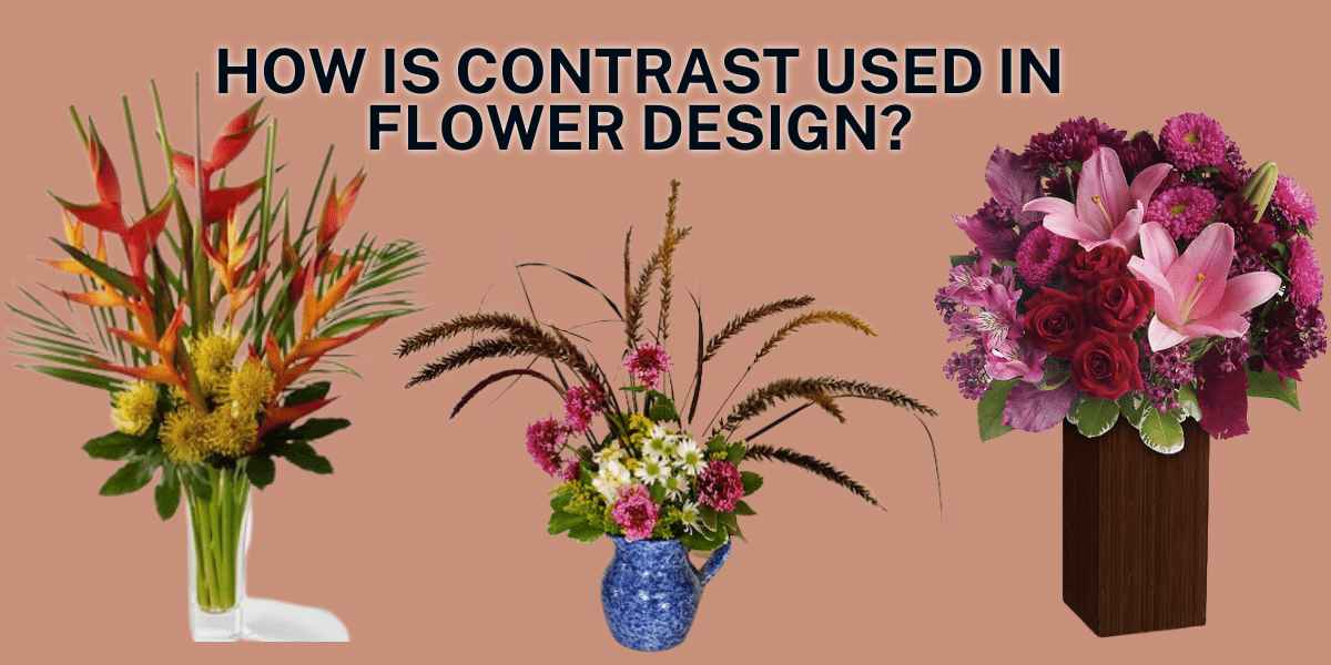 How Is Contrast Used In Flower Design