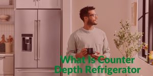 What Is Counter Depth Refrigerator In Dubai