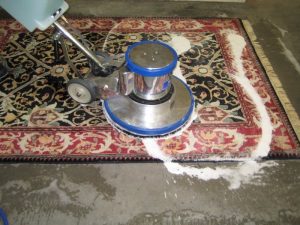 Should You Vacuum Before Using Your Bissell CrossWave?