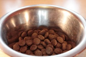 Discovering the Benefits of DoggieKattie Dog Food for Your Furry Friend
